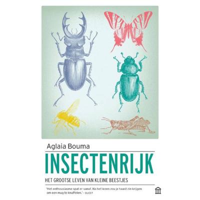 Insectenrijk (Paperback)