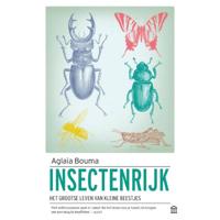 Insectenrijk (Paperback) - thumbnail