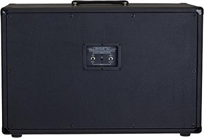 Peavey Invective. 212 cabinet