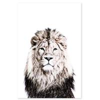 Groovy Magnets Magneetsticker Leeuw - thumbnail