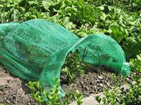 Connex Kunststof Tunnel 350X100Cm +Gaten - FLOR80210 - thumbnail