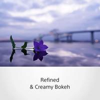 Sony FE 35mm F/1.4 GM - thumbnail