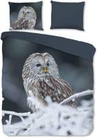 Good Morning Dekbedovertrek "uil" - Grijs - (240x200/220 cm) - Katoen - thumbnail