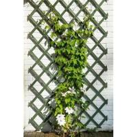 Nature tuinlatwerk 50x150 cm hout groen - thumbnail