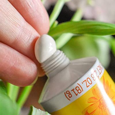 Weleda Calendula Billenbalsem - thumbnail