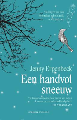 Een handvol sneeuw - Jenny Erpenbeck - ebook