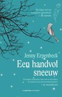 Een handvol sneeuw - Jenny Erpenbeck - ebook - thumbnail