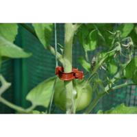6 stuks! Tomato Clips / Clips a tomates 20 X Royal Well - Royal well - thumbnail