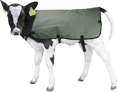 Calf Coat Kalverdek 80 cm