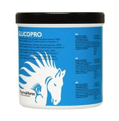 Glucopro paard 500 gram