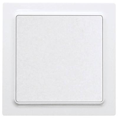 Eltako WT55E-am Toets Inbouw (in muur)