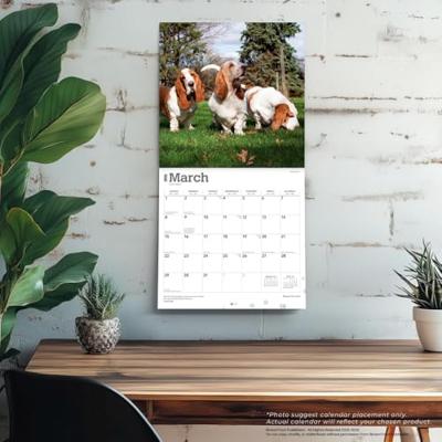 Basset Hound Kalender 2026 Basset Hound Kalender 2026
