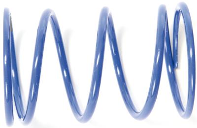 Polini drukveer clutch back pressure spri (spring blue)