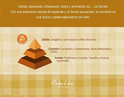 Boles d&apos;olor brumas de ambiente geurolie canela 50 ml