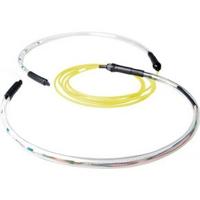 ACT 80 meter Singlemode 9/125 OS2 indoor/outdoor kabel 8 voudig met LC connectoren - thumbnail