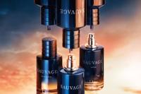 Sauvage Parfum - thumbnail