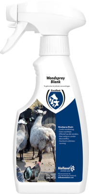 Excellent Skin Spray Blank 200 ml