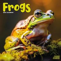 Frogs Calendar 2026 Square Animal Wall Calendar - 16 Month - thumbnail