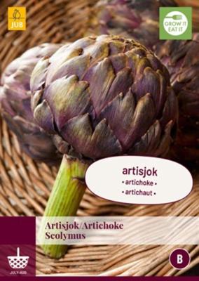 Cynara scolymus bol/knol JUB 1 stuks - Jub