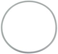 O-ring voor filterdeksel Pentair Triton zandfilter - thumbnail