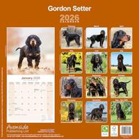 Gordon Setter Kalender 2026 - thumbnail