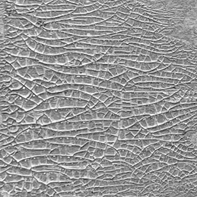 Ranger Ink Ranger • tim holtz distress crackle paste translucent