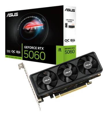VGA ASUS GeForce RTX 5060 RTX5060-O8G-LP-BRK - thumbnail