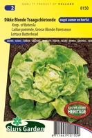 Kropsla zaden Dikke Blonde Traagschietende - thumbnail