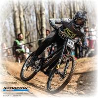 Pirelli scorpion™ enduro s - soft terrain team edition 29x2.4" hardwall folding tire - thumbnail