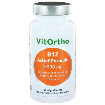 B12 Actief Formule 5000 mcg B12 Actief Formule 5000 mcg