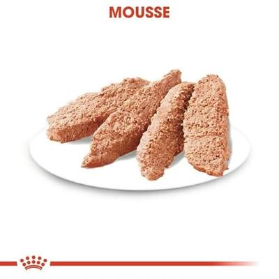 Royal Canin Urinary Care natvoer hondenvoer zakjes 12x85g - thumbnail