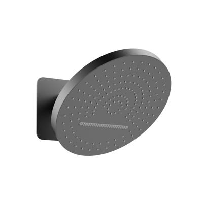 Hoofddouche BWS Sensa 32 cm met Inbouwbox Gunmetal PVD Tropical Rain Hoofddouche BWS Sensa 32 cm met Inbouwbox Gunmetal PVD Tropical Rain