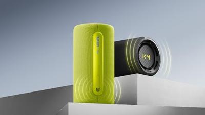 Loewe We. HEAR pro Black Bluetooth speaker