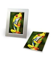 Avery-Zweckform Everyday C2549-20P Fotopapier 10 x 15 cm 200 g/m² 50 vellen Glanzend - thumbnail