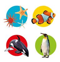 Clementoni memory spel waterwereld junior 48 delig - thumbnail