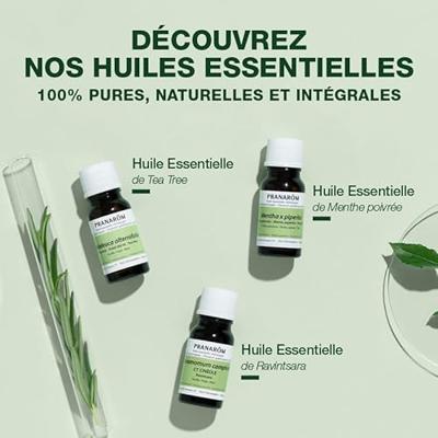 Pranarôm Essentiële Olie Echte Lavendel 10ml - thumbnail