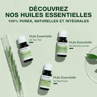 Pranarôm Essentiële Olie Ravintsara 10ml - thumbnail