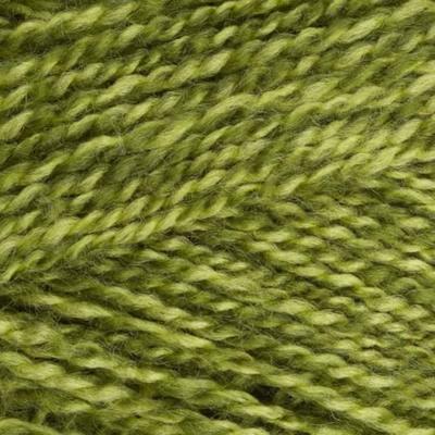 Stylecraft special DK 1124 greengage