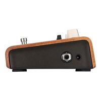 LR Baggs Align Series Equalizer - thumbnail