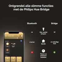 Philips Hue White 1-pack ST64 E27 Edison met zichtbare gloeidraad - thumbnail