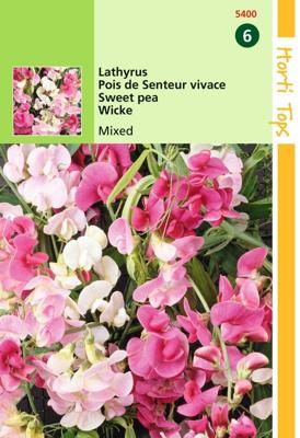 Zaden Lathyrus brede Lathyrus gemengd Hortitops - Hortitops