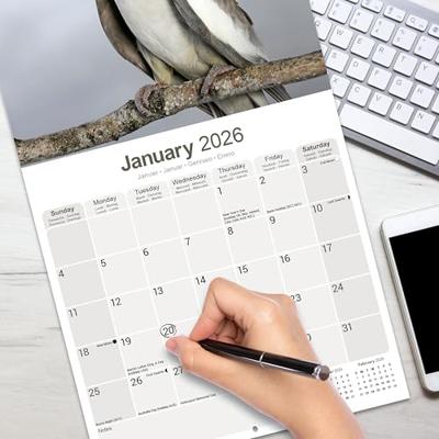 Valkparkieten Kalender 2026