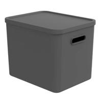 Rotho albula multibox 29.5x29x37 cm 27l antraciet - thumbnail