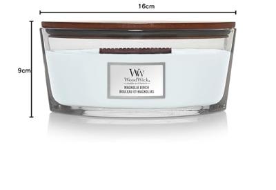 WoodWick magnolia birch ellipse candle