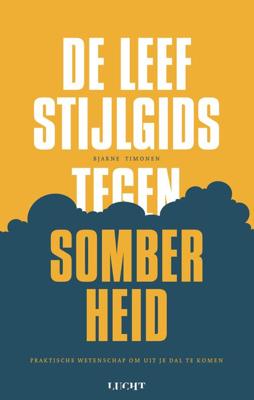 De leefstijlgids tegen somberheid - Bjarne Timonen - ebook
