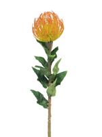 Nutans Segal 74 cm oranje kunstbloem Nova Nature - Nova nature - thumbnail