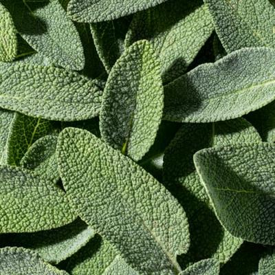 Ecodenta Mondwater Multi