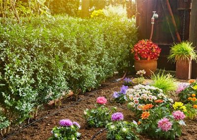 Druppelirrigatiesysteem Gardena