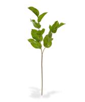 Salal kunstbladtak deluxe M 65 cm - thumbnail