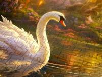 Swan Song Puzzel 1000 Stukjes - thumbnail